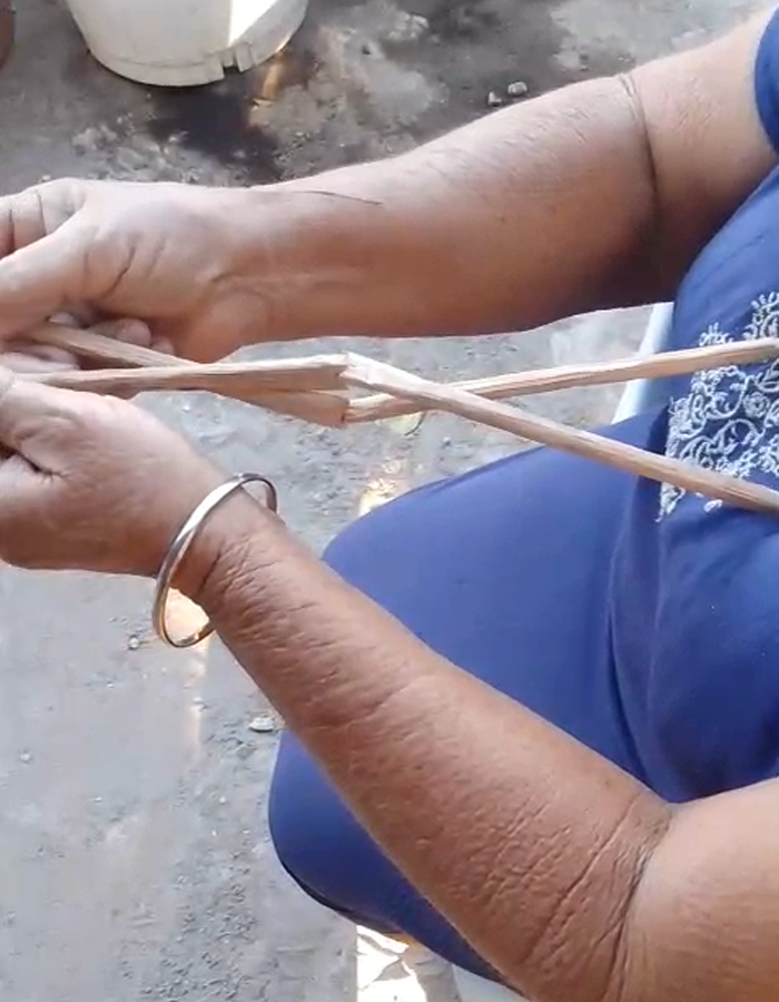 palitos buscadores